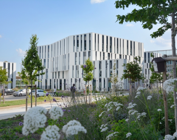 ViaSilva, un quartier éco-responsable